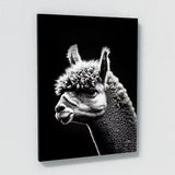 Alpaca 2 Wall Art
