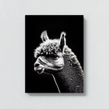 Alpaca 2 Wall Art