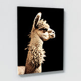 Alpaca 21 Wall Art
