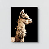 Alpaca 21 Wall Art