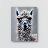 Alpaca 24 Wall Art