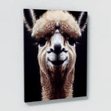 Alpaca 3 Wall Art