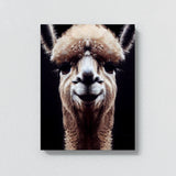 Alpaca 3 Wall Art