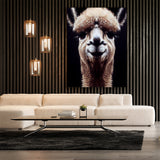 Alpaca 3 Wall Art