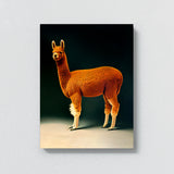 Alpaca 5 Wall Art