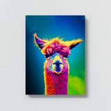 Alpaca 9 Wall Art