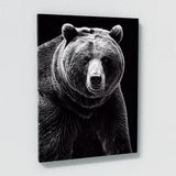 Bear 19 Wall Art