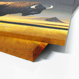 Bison 3 Wall Art