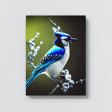 Blue Jay Bird 1 Wall Art