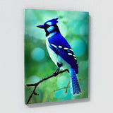 Blue Jay Bird 2 Wall Art