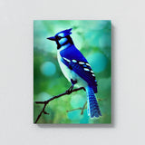 Blue Jay Bird 2 Wall Art