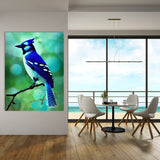 Blue Jay Bird 2 Wall Art