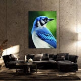 Blue Jay Bird 4 Wall Art