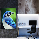 Blue Jay Bird 4 Wall Art