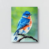 Bluebird 4 Wall Art