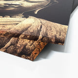 Buddha Meditation Zen 14 Wall Art