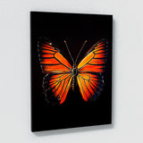 Butterfly 2 Wall Art