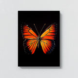 Butterfly 2 Wall Art