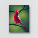 Cardinal Bird 1 Wall Art