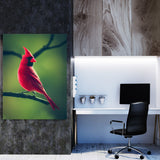 Cardinal Bird 1 Wall Art