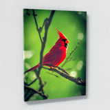 Cardinal Bird 2 Wall Art