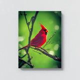 Cardinal Bird 2 Wall Art