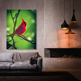 Cardinal Bird 2 Wall Art