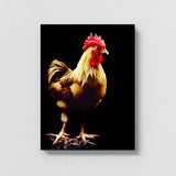 Chicken 21 Wall Art