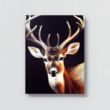 Deer 20 Wall Art