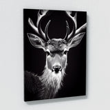 Deer 35 Wall Art