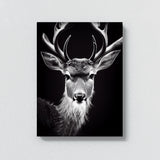 Deer 35 Wall Art