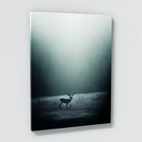 Deer 36 Wall Art