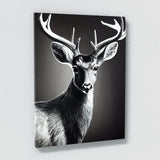 Deer 5 Wall Art