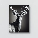 Deer 5 Wall Art