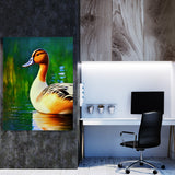 Duck 3 Wall Art