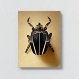 Egyptian Scarab Beetle 2 Wall Art