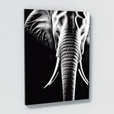 Elephant 19 Wall Art