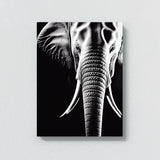Elephant 19 Wall Art