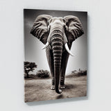 Elephant 20 Wall Art
