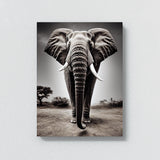Elephant 20 Wall Art
