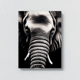 Elephant 3 Wall Art