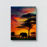 Elephant 8 Wall Art