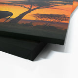 Elephant 8 Wall Art