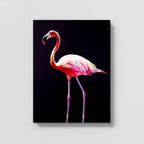 Flamingo 10 Wall Art
