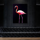 Flamingo 10 Wall Art
