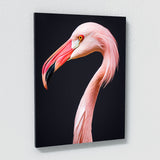 Flamingo 11 Wall Art