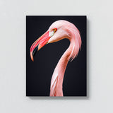 Flamingo 11 Wall Art
