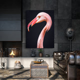 Flamingo 11 Wall Art