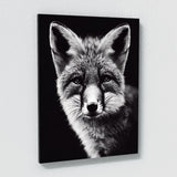 Fox 14 Wall Art
