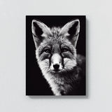 Fox 14 Wall Art